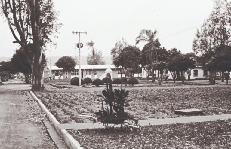 São Julião 003